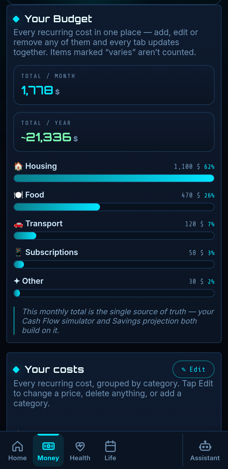The MRLN Budget tab: every recurring cost grouped by category, with monthly and yearly totals.